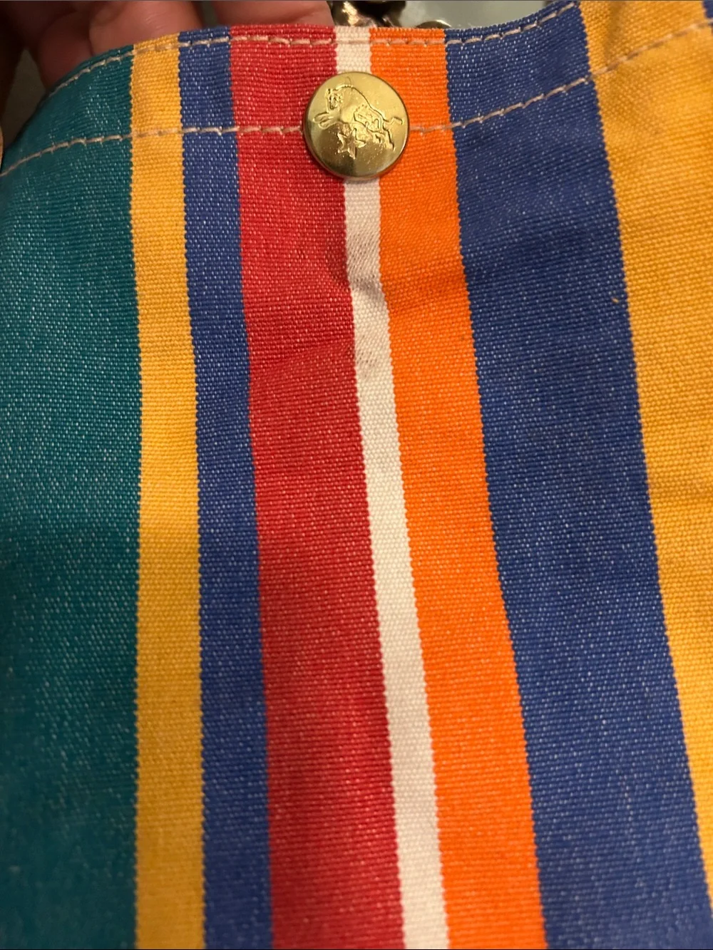 IL Bisonte Striped Canvas Tote Bag with Leather Handles - Multicolor